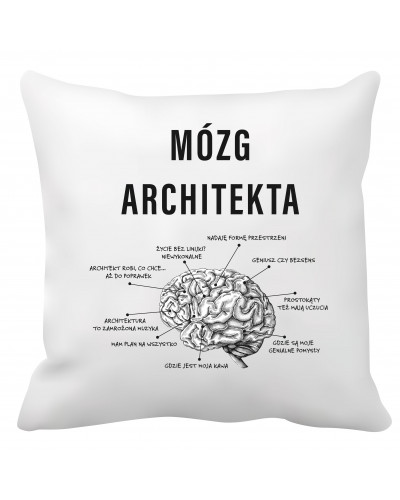 Poduszka dla architekta (Mózg architekta)