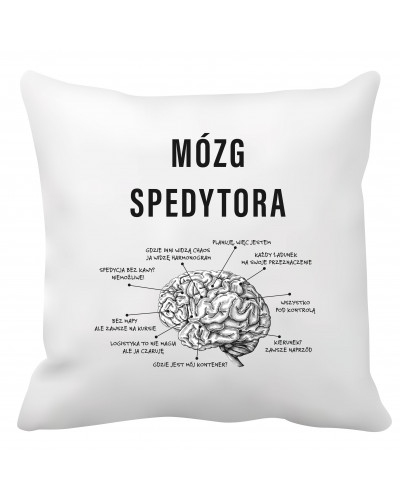 Poduszka dla spedytora (Mózg spedytora)