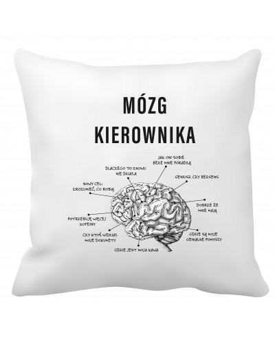 Poduszka dla kierownika (Mózg kierownika)