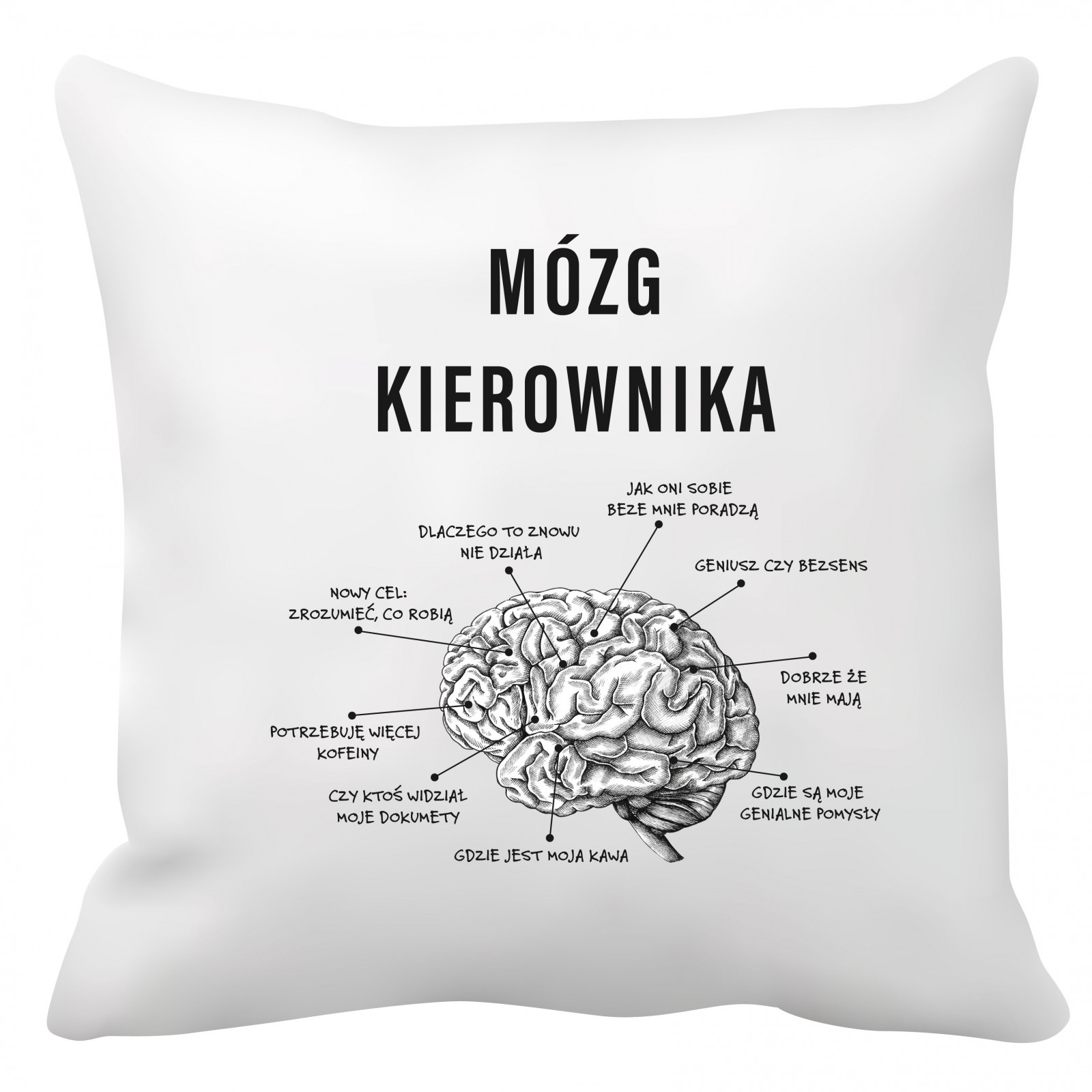 Poduszka dla kierownika (Mózg kierownika)