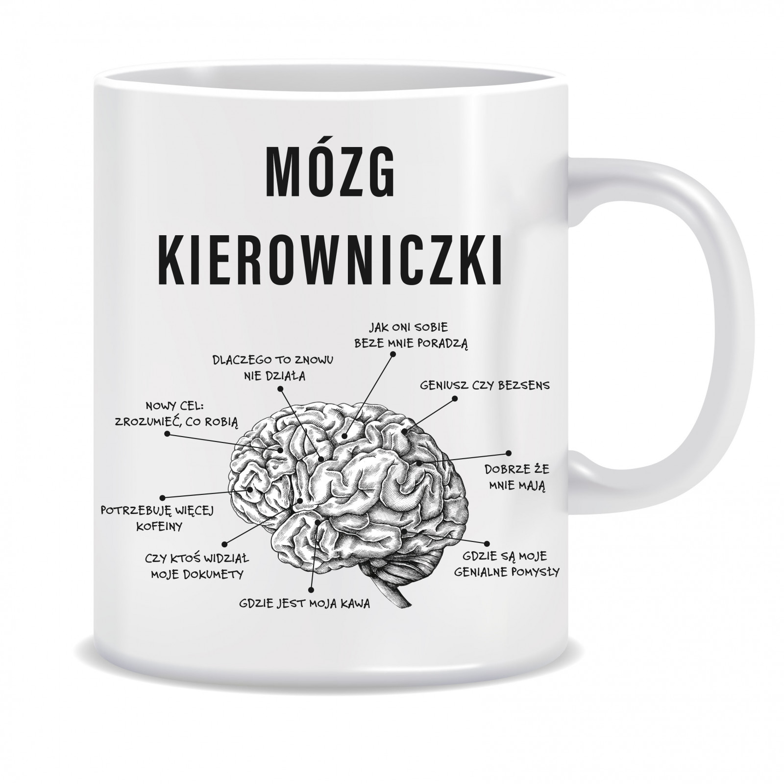 Kubek dla kierowniczki (Mózg kierowniczki)