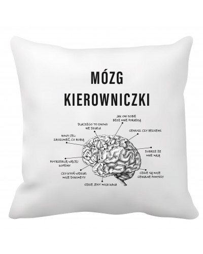 Poduszka dla kierowniczki (Mózg kierowniczki)