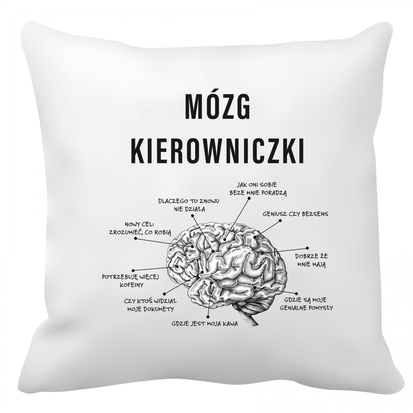 Poduszka dla kierowniczki (Mózg kierowniczki)