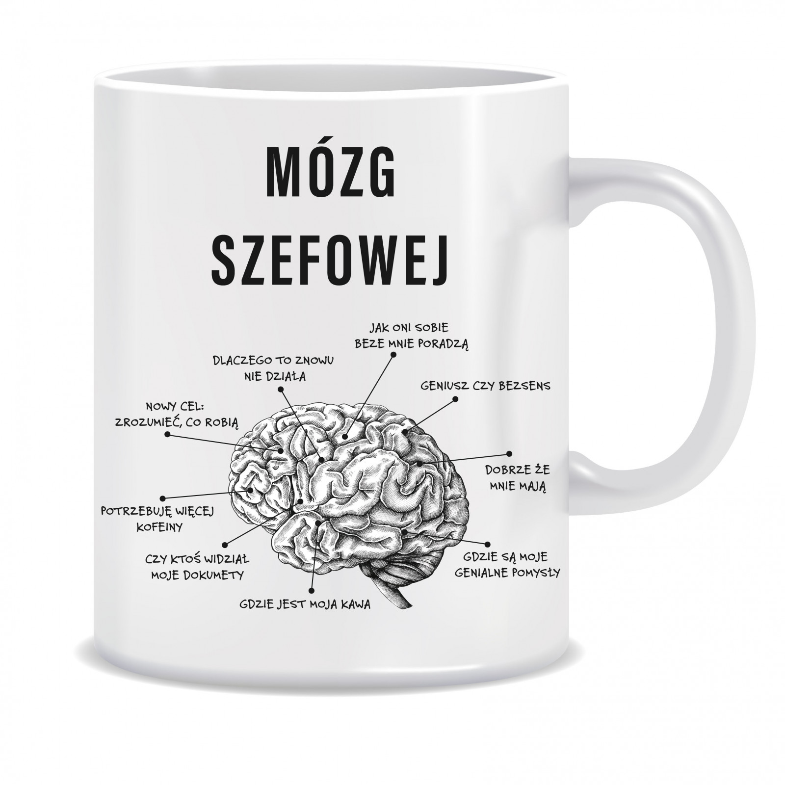 Kubek dla szefowej (Mózg szefowej)