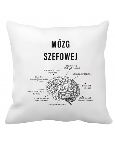 Poduszka dla szefowej (Mózg szefowej)