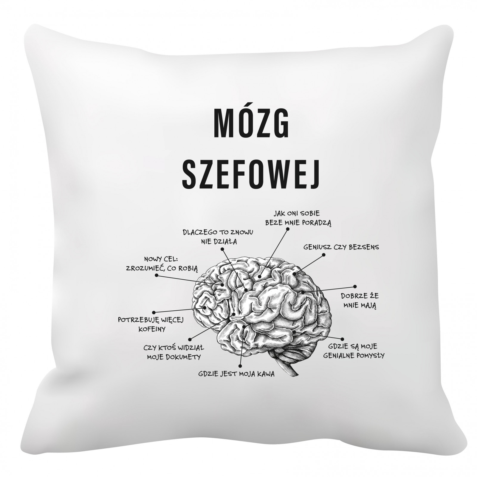 Poduszka dla szefowej (Mózg szefowej)