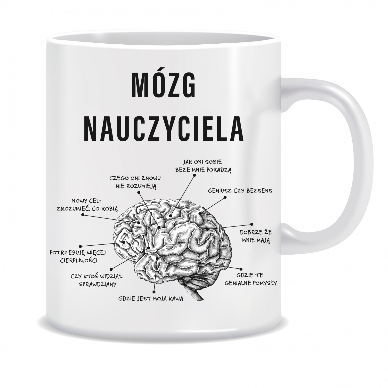 Kubek dla nauczyciela (Mózg nauczyciela)