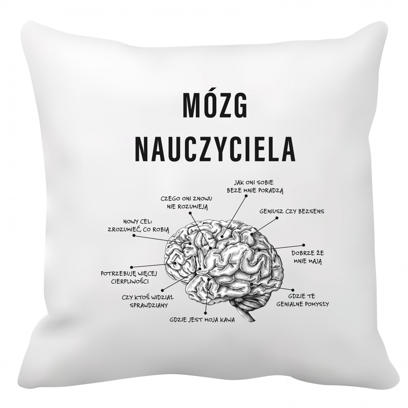 Poduszka dla nauczyciela (Mózg nauczyciela)