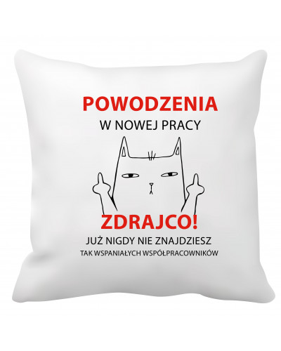 Poduszka na pożegnanie kolegi/koleżanki (Powodzenia w nowej